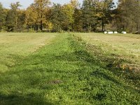 NL, Noord-Brabant, Valkenswaard, Pelterheggen 16, Saxifraga-Jan van der Straaten